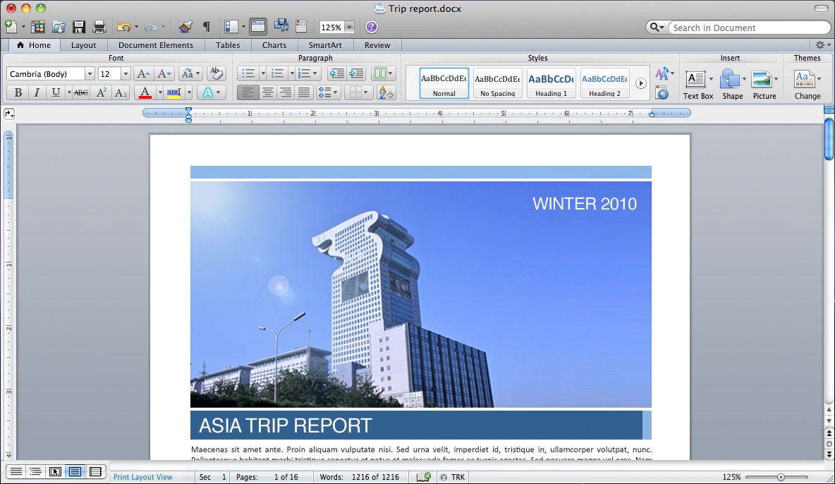 Microsoft Word 2011 for Mac Print Layout View (2011)